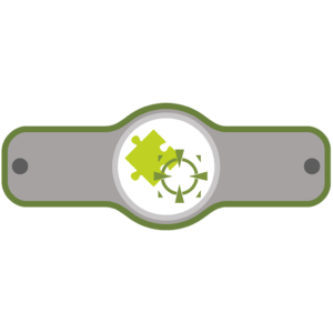 Strategy & Evolution Woven Woggle